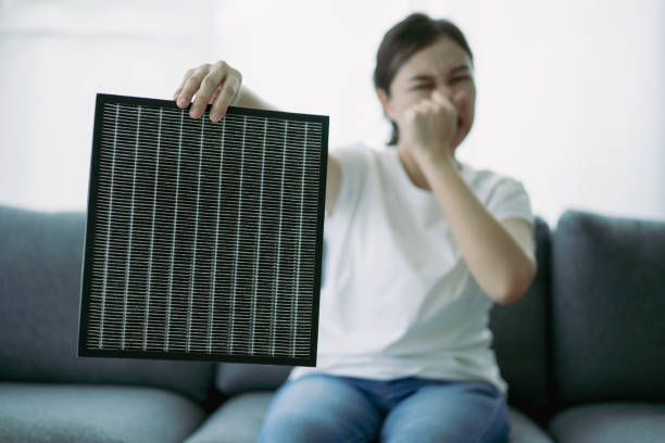 Best Home Air Vent Cleaning  in Campbellsville, KY